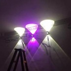 2W LED Sconce Bedside Light Surface Mount Wall Lamp Living Room Bedroom Hallway Corridor KTV Bar Wall lights AC85-265V Lighting 